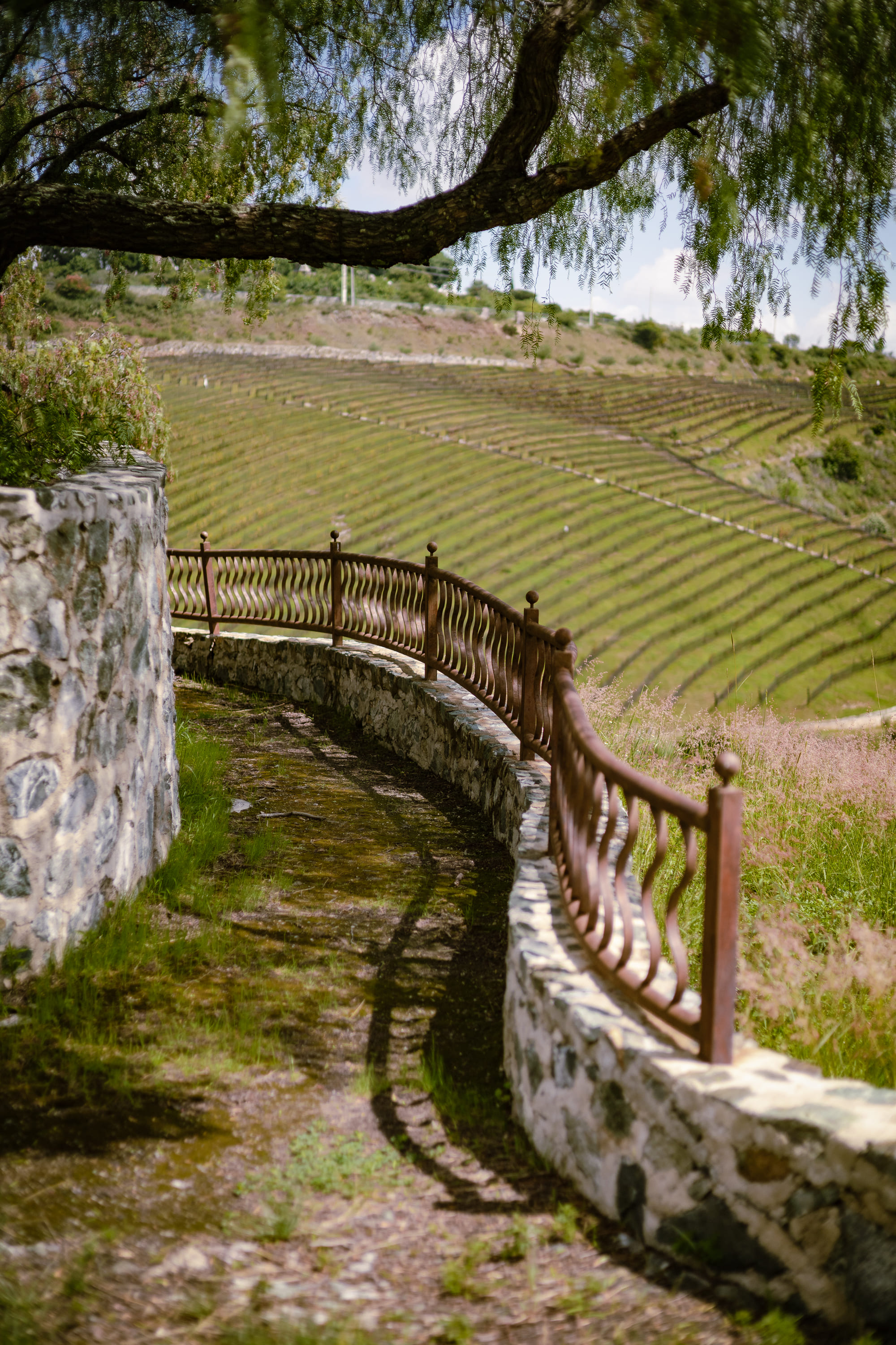 Imagen de Laberinto Picnic